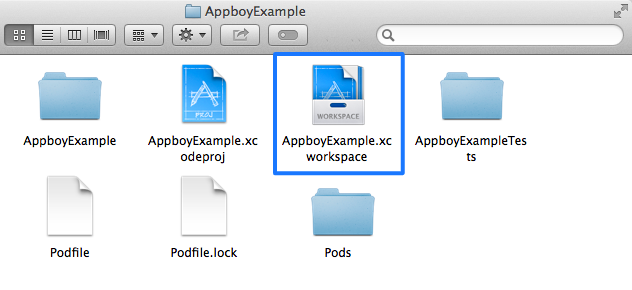 新しい `AppbpyExample.workspace`を表示するために展開された Appboy Example フォルダ。